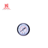 Đồng hồ khí Pressure Gauges G36-10-01