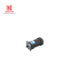 Motor 5RK60GU-SFM
