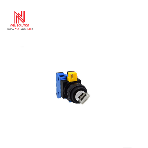 Công tắc khóa  HW1K-2C11